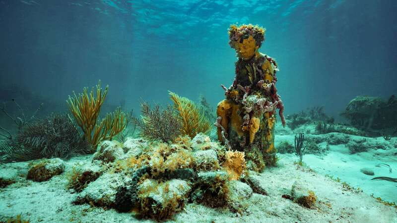 Cancun: Snorkeling Tour at MUSA The Underwater Museum - MUSA: a museum you see from the water