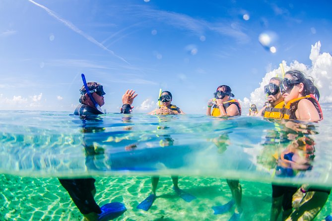 Cancun speedboat and snorkel tour: shared speedboat - Who should book this Cancun outing