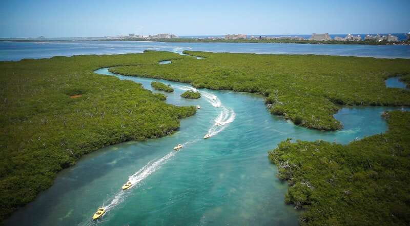 Cancun: Speedboat Mangrove Jungle & Snorkel Tour - What the $70 price includes, and what it does not