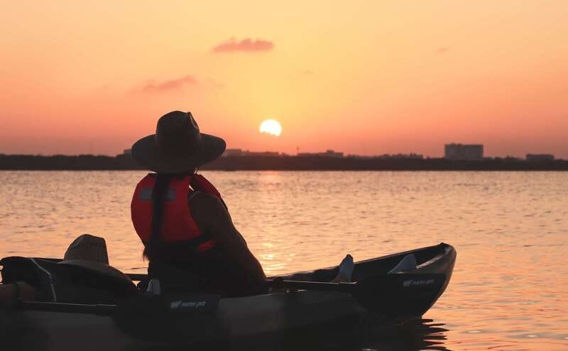 Cancun: Sunset Kayak Experience in the Mangroves - Wildlife: excellent possibilities, no guarantees