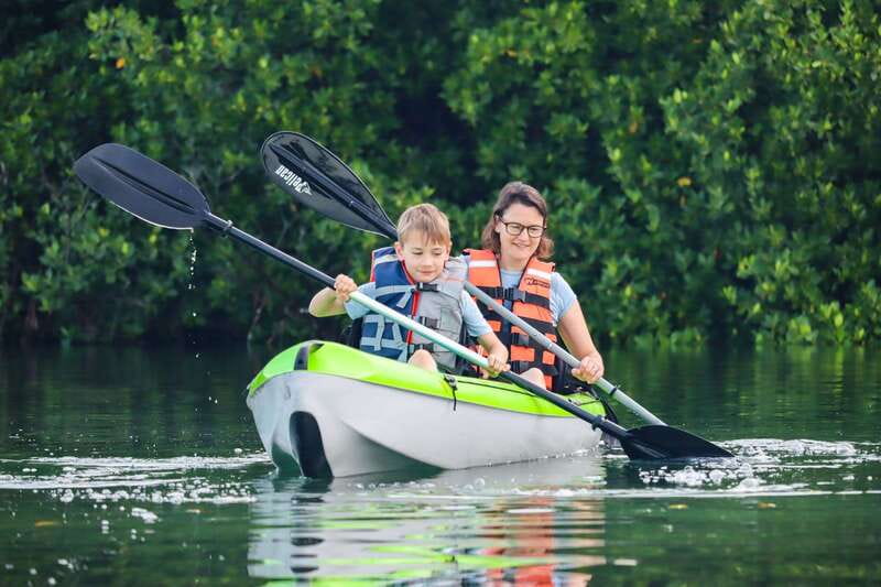 Cancun: Sunset Kayak Experience in the Mangroves - Meeting at Marina Scuba Cancun