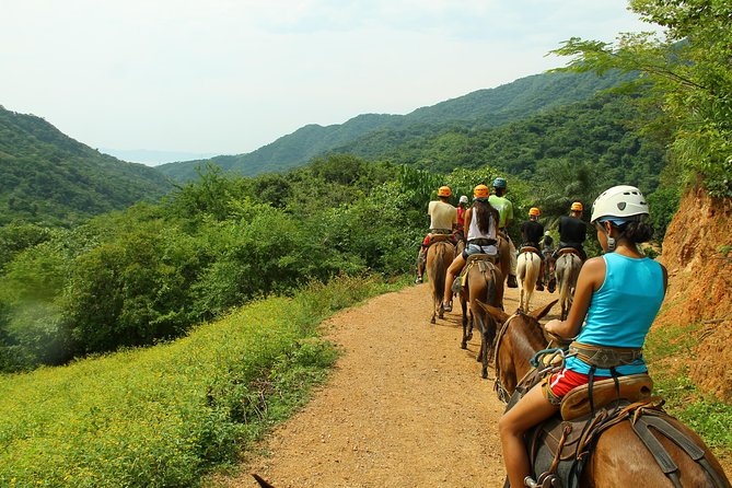 Canopy River Zipline Tour and Mule Ride - What the zipline section feels like