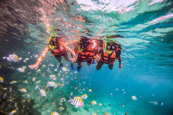 CATAMARAN to Isla Mujeres, Snorkel & Beach Club by Xcaret - El Meco Reef and the 45-minute snorkeling stop