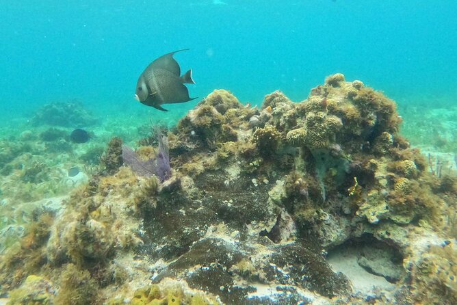 Catamaran with Snorkeling and North Beach, Isla Mujeres - Cancellation and booking details