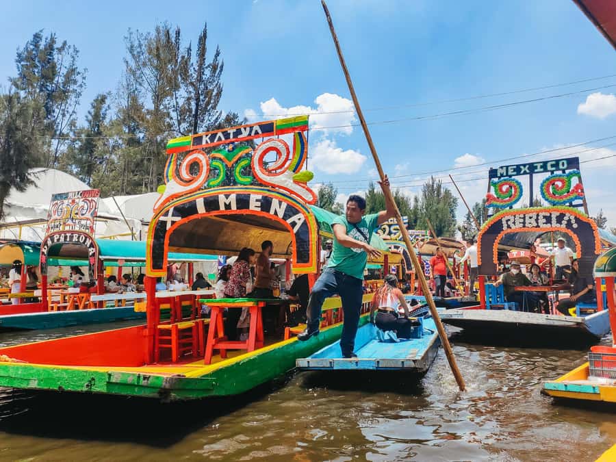 CDMX: Xochimilco, Coyoacan, Frida Kahlo Museum & Murals Tour - What this Mexico City day tour is really trying to do
