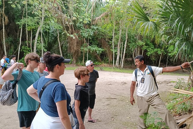 Chacchoben Mayan Ruins Excursion - Who should choose this excursion?