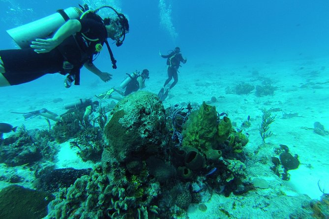 Chankanaab Cozumel Scuba Diving - Key Points Before You Book