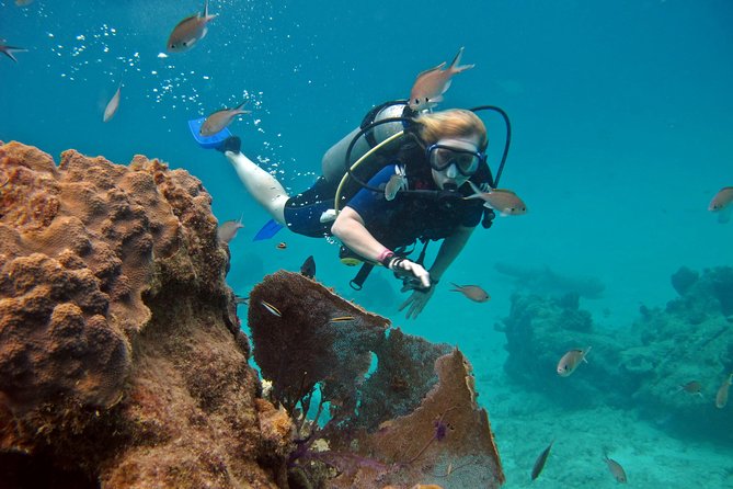 Chankanaab Cozumel Scuba Diving - What to Know About Photos and Equipment