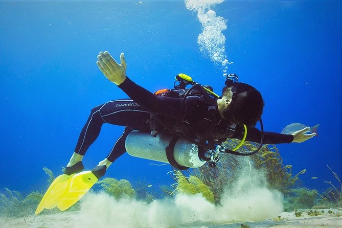 Chankanaab Cozumel Scuba Diving - Shore Instruction Before the Reef