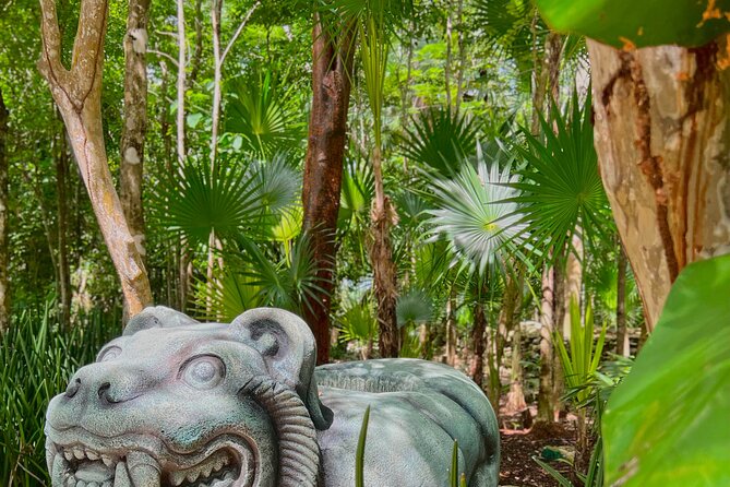 Chankanaab Park Admission + Snorkeling - A realistic three-hour schedule