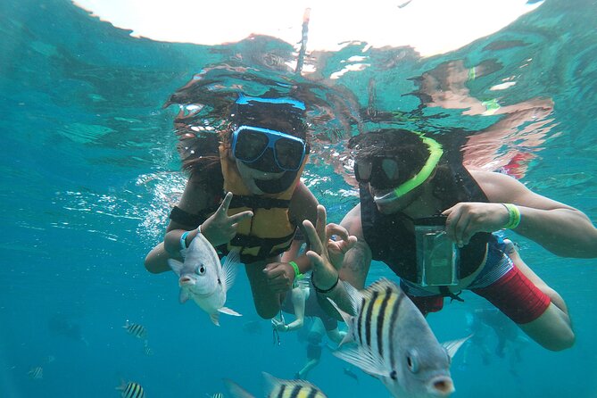 Chankanaab Park Admission + Snorkeling - Getting there from the cruise terminal