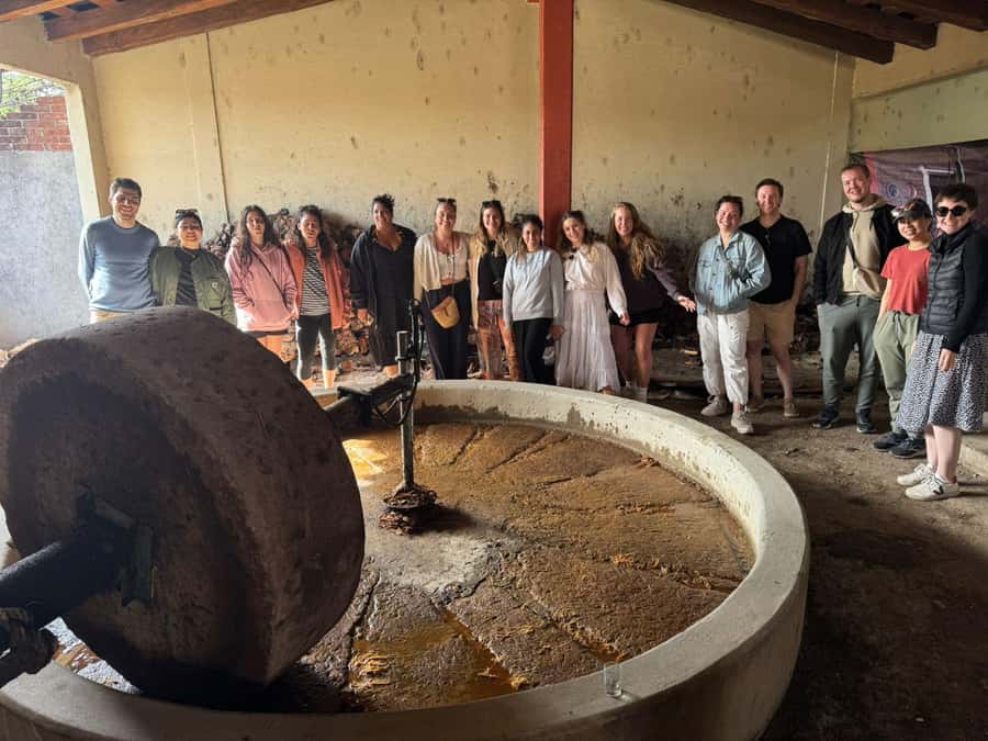 Check out Hierve el Agua, Mitla, the Tule Tree, Rugs, and a Mezcal Distillery Tour - Lunch at the buffet