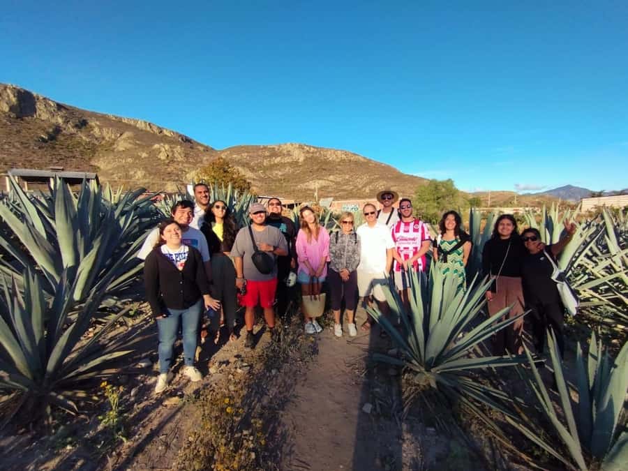 Check out Hierve el Agua, Mitla, the Tule Tree, Rugs, and a Mezcal Distillery Tour - Mezcal production and a generous final tasting
