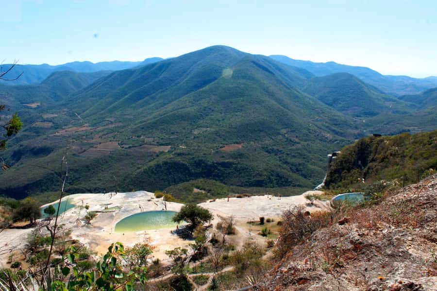 Check out Hierve el Agua, Mitla, the Tule Tree, Rugs, and a Mezcal Distillery Tour - What the $49 price really covers