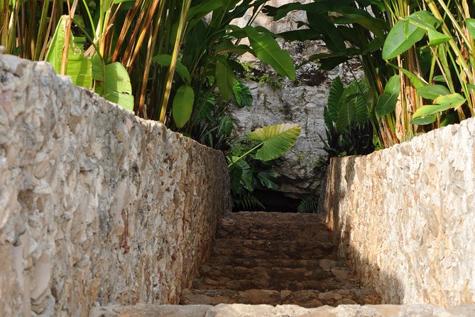 Choose your experience to live in Los 7 Cenotes San Gerónimo - The semi-open cenote comes first