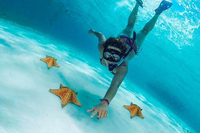 Cielito Cozumel: Mexican Caribbean Snorkeling Tour - Starting near Ultramar in central Cozumel