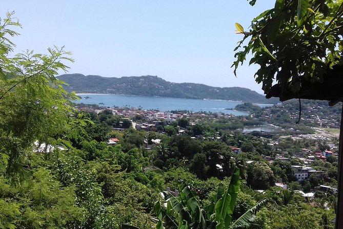 City and Country Side Tour with Luis - Tropical Fruit and the Seasons of the Coast