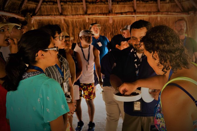 Coba and Tulum, cenote swim and buffet lunch - Cenote Mariposa and the Canamayte visit