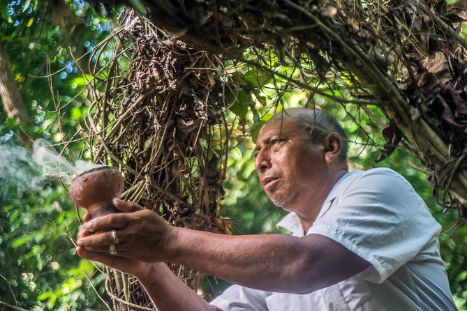 Coba Ruins, Punta Laguna Nature Reserve, Cenote and Mayan family - Transport, timing, and pickup details