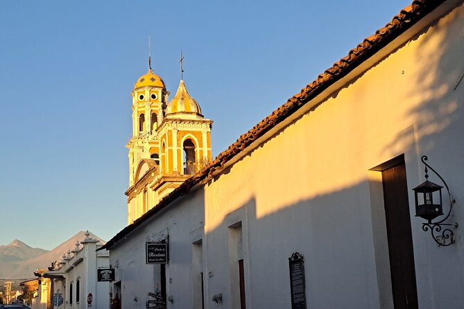 Colima Volcano Cultural Tour: Coffee Plantation, Hacienda and Comala Magic Town - Nogueras and the world of Alejandro Rangel