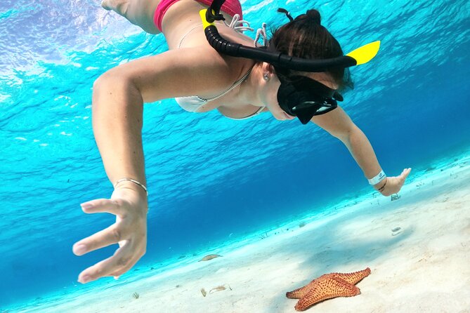 Colombia, Palancar & Cielo Cozumel Snorkel Tour - Palancar Reef and Colombia Reef
