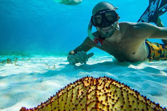 Colombia, Palancar & Cielo Cozumel Snorkel Tour - What is included, and what you should bring