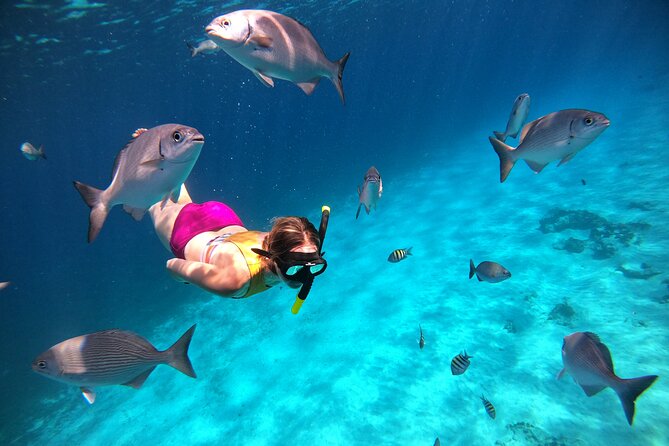 Colombia, Palancar & Cielo Cozumel Snorkel Tour - Is the food and drink service worth it?