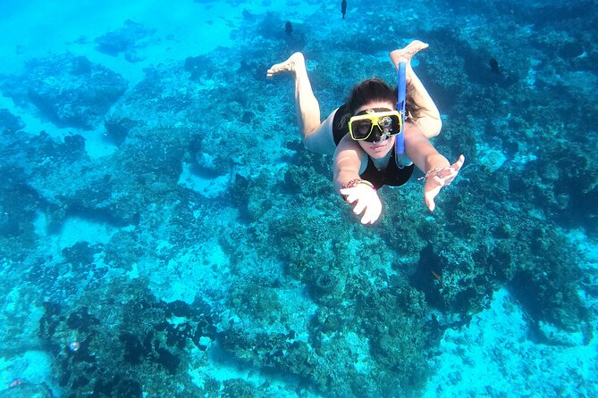 Colombia, Palancar & Cielo Cozumel Snorkel Tour - The turtle area and wildlife viewing