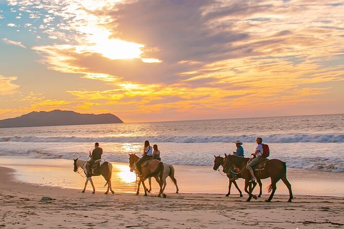 Combo Horseback Beach Ride & ATV Adventure. Tequila Tasting - Two Cabo rides in one afternoon