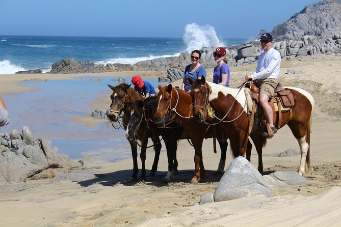 Combo Horseback Beach Ride & ATV Adventure. Tequila Tasting - The real price of a $116 outing