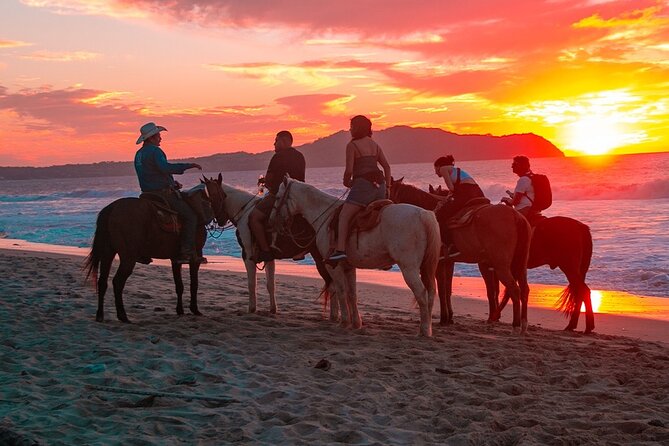 Combo Horseback Beach Ride & ATV Adventure. Tequila Tasting - Who will enjoy this Cabo adventure