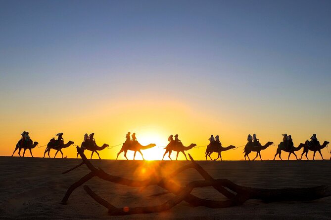 Combo Horseback Ride and Sky Bike in Cabo - From hotel pickup to the Cactus Tours base