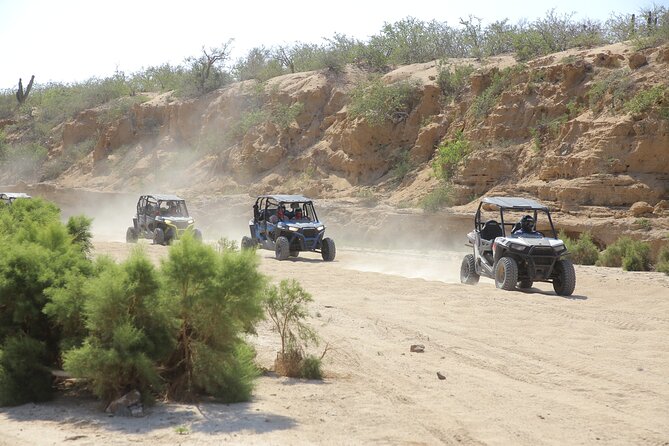Combo Single Offroad 4x4 UTV, Camel Ride, Lunch & Tequila Tasting - Key points to know before you book