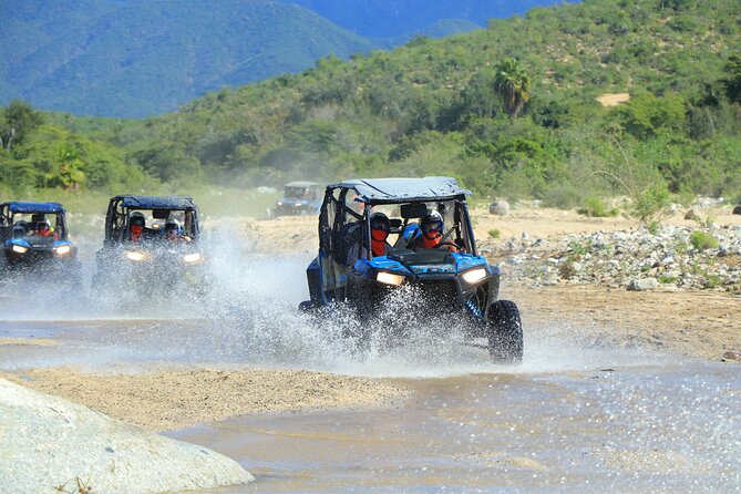 Combo Single Offroad 4x4 UTV, Camel Ride, Lunch & Tequila Tasting - From the Pacific coast to Tierra Sagrada