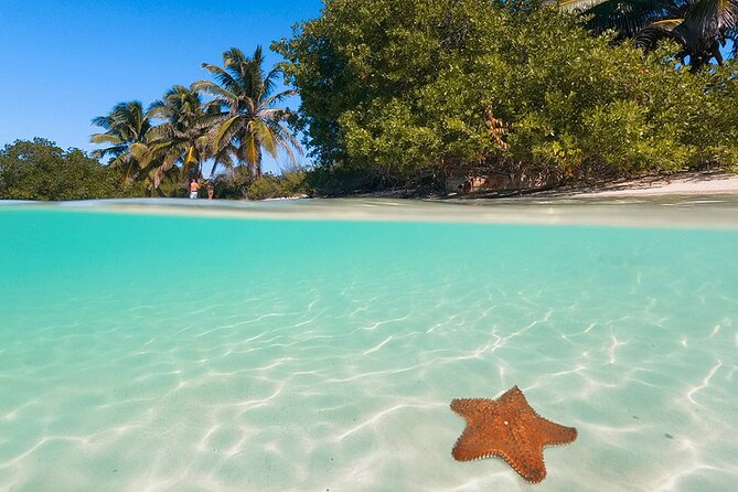 Contoy Island Tour from Cancun and Isla Mujeres with Snorkeling - Starting in central Isla Mujeres at 8:30 a.m.