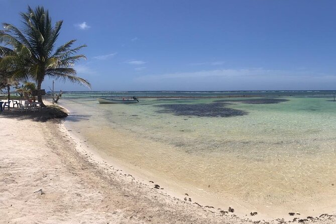 Costa Maya Beach Break All Inclusive From Port - Seaweed and beach conditions can change the picture