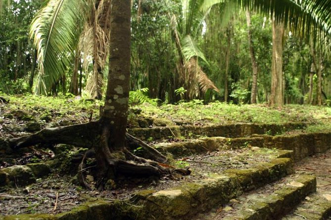 Costa Maya Shore Excursion: Chacchoben Day Trip - Meeting outside Costa Maya port