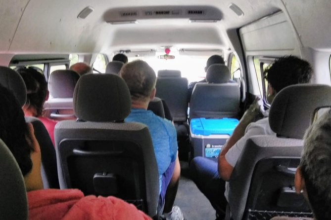 Costa Maya Shore Excursion: Chacchoben Day Trip - What the forest adds to the ruins