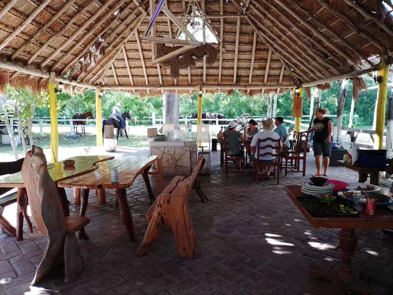 Cozumel: 5-Hour Private Caves and Ruins Tour with Lunch - Who should book this Cozumel tour?