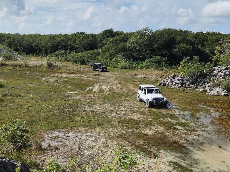 Cozumel: 5-Hour Private Caves and Ruins Tour with Lunch - Why this five-hour outing feels different