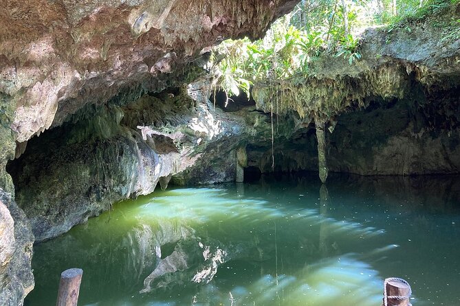 Cozumel ATVs, El Cedral Ruins, Cenote Jade, and Tequila - Tequila, chocolate, and honey finish the outing