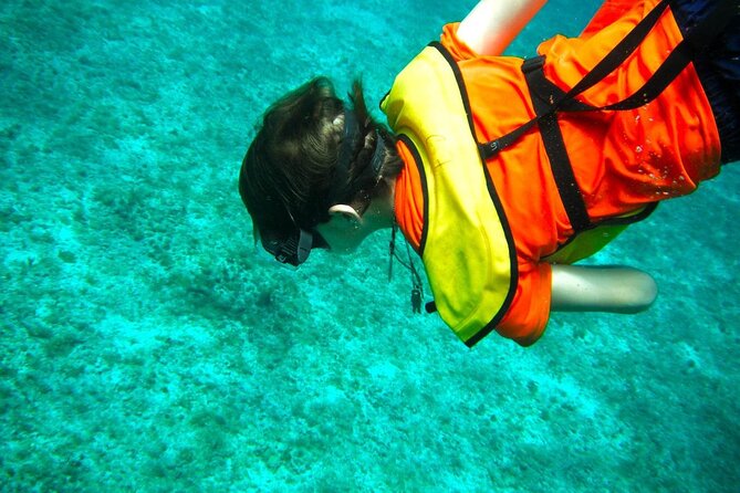 Cozumel Buggy Tour: Snorkeling , Otoch Mayan Experience & Lunch - SkyReef snorkeling in the national park