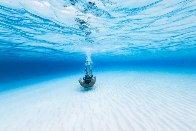 Cozumel Catamaran Snorkeling Tour & lunch® - A six-hour sampler of Cozumel’s coast