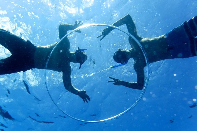 Cozumel Catamaran Snorkeling Tour & lunch® - El Cielo and the starfish sanctuary