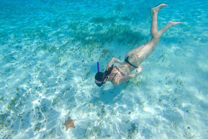 Cozumel Catamaran Snorkeling Tour & lunch® - Drinks, crew service, and the feel on board