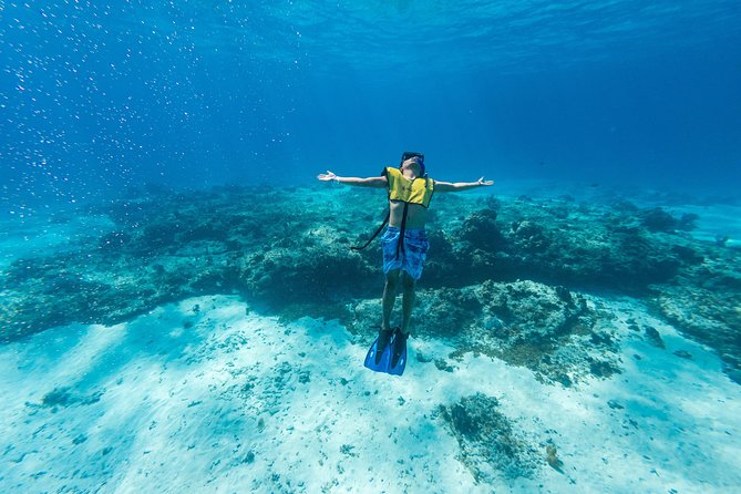 Cozumel Catamaran Snorkeling Tour & lunch - What to expect at Palancar Reef