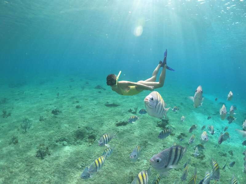 Cozumel: Clear Boat Ride and Snorkeling Trip - Meeting at Av. Rafael E. Melgar 221