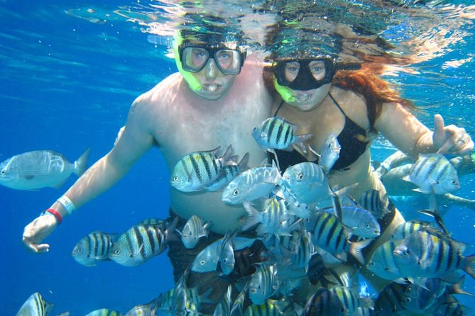 Cozumel Coral Reef Snorkeling by Glass Bottom Boat with Guide - Who should book this experience