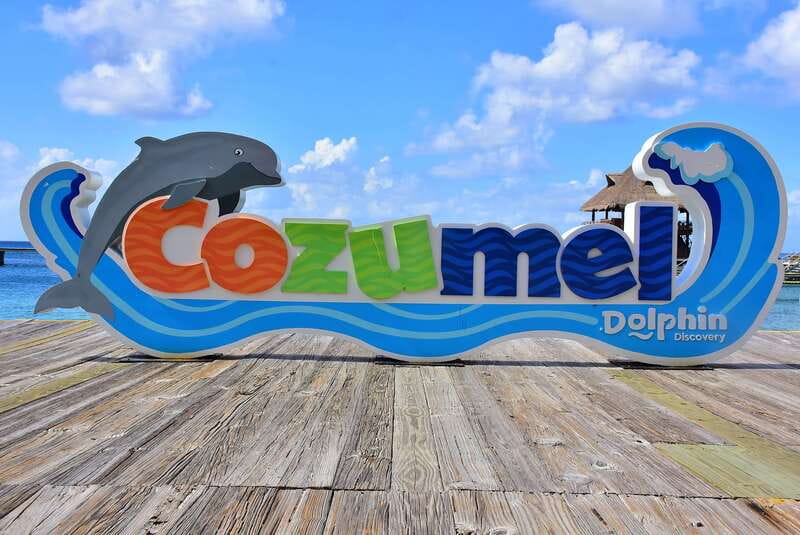 Cozumel: Dolphin Royal Connection and Manatee Interaction - Two dolphins, one short Royal Swim