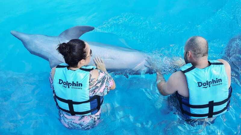 Cozumel: Dolphin Royal Connection and Manatee Interaction - Chankanaab Park adds a wider setting